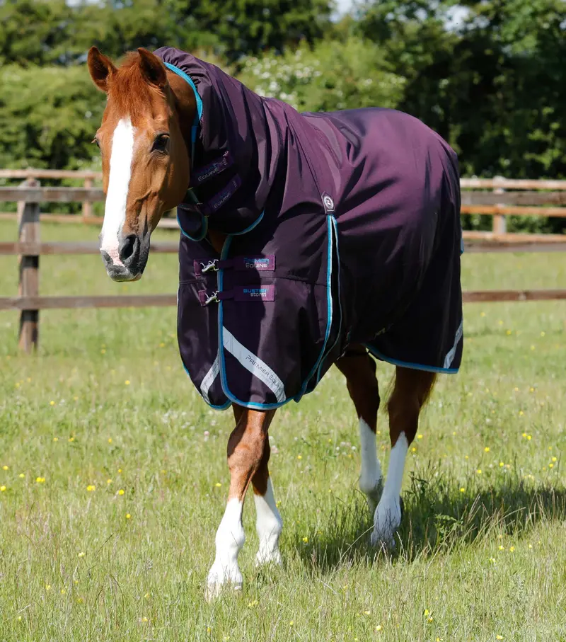 Buster Storm 100G Combo Turnout Rug With Snug-Fit Neck Purple 1