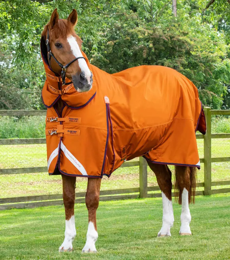 Buster Storm 200G Combo Turnout Rug With Classic Neck Burnt Orange 1
