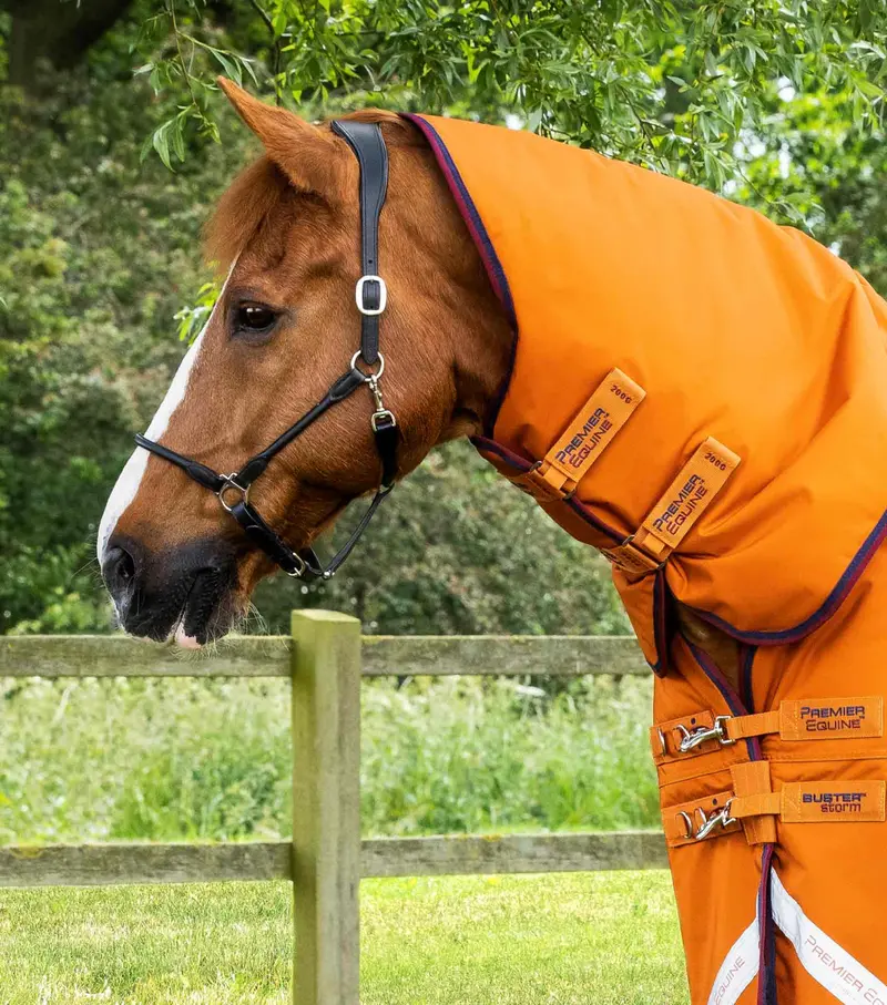 Buster Storm 200G Combo Turnout Rug With Classic Neck Burnt Orange 2