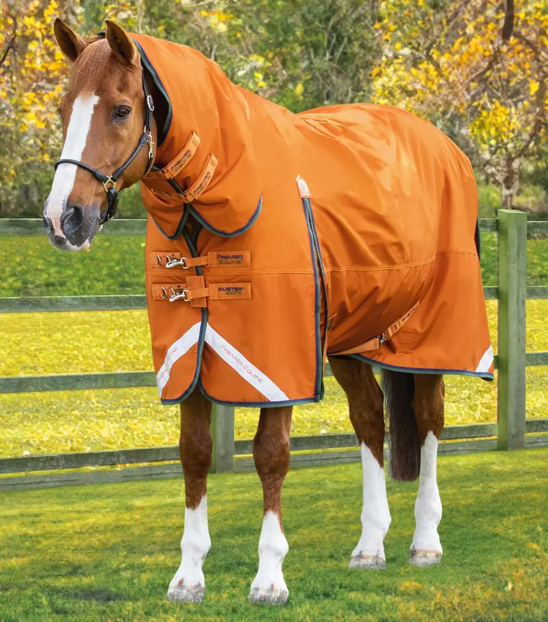 Buster Storm 400G Combo Turnout Rug With Classic Neck Burnt Orange 1