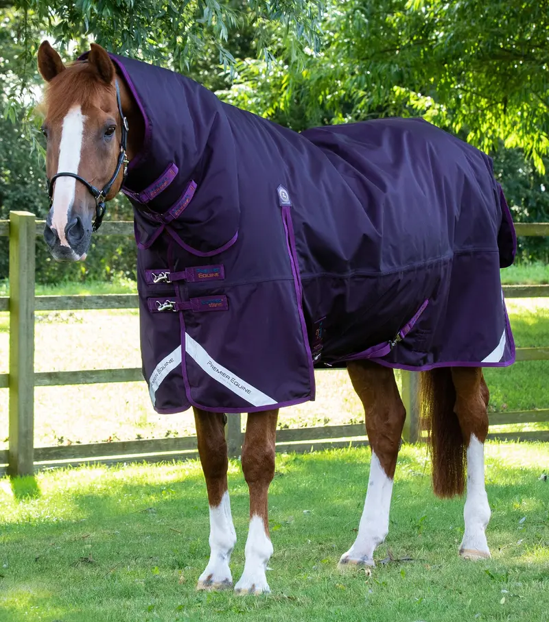 Buster Storm 420G Combo Turnout Rug With Classic Neck Purple 1