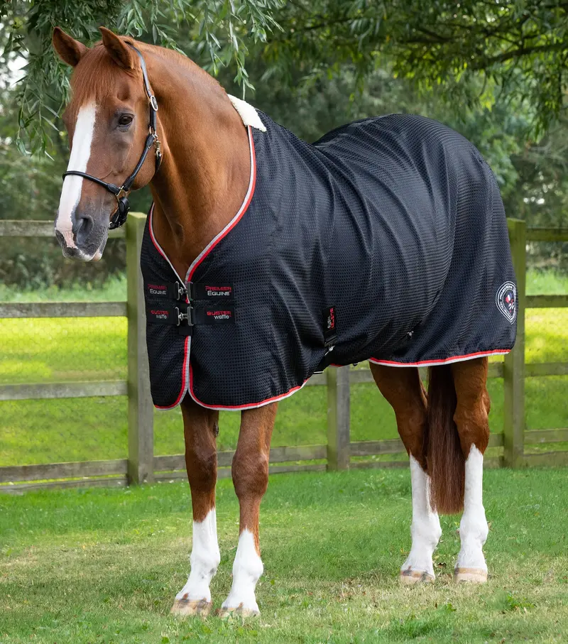 Buster Waffle Horse Cooler Rug Black 1