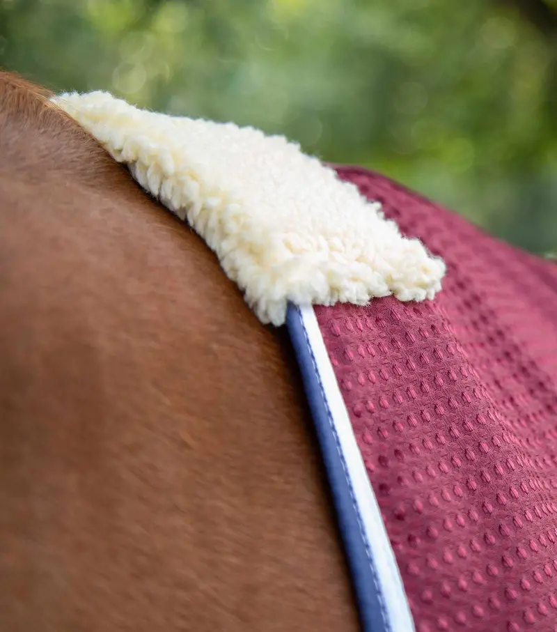 Buster Waffle Horse Cooler Rug Burgundy 3