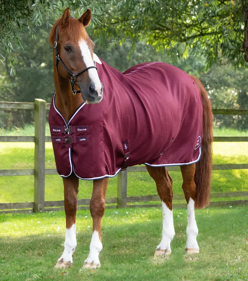 Buster Waffle Horse Cooler Rug Burgundy 6