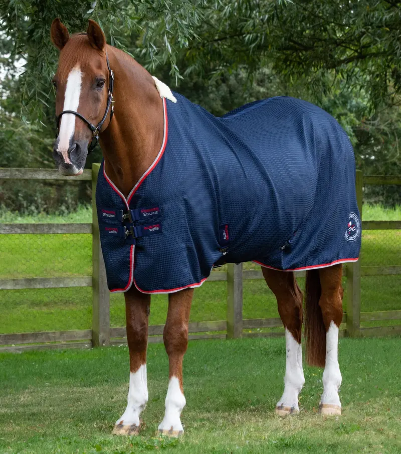 Buster Waffle Horse Cooler Rug Navy 1