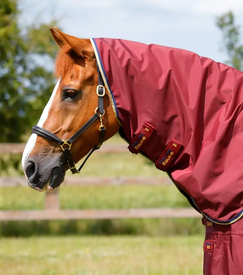 Buster Zero Turnout Rug With Classic Neck Cover Burgundy 3