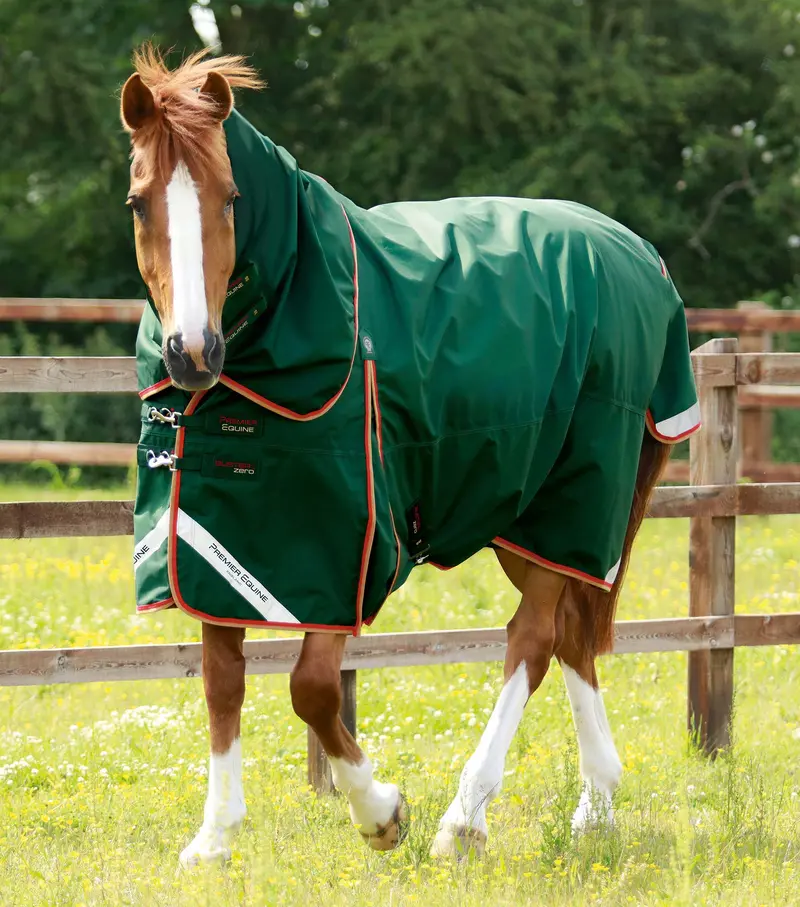 Buster Zero Turnout Rug With Classic Neck Cover Green 1