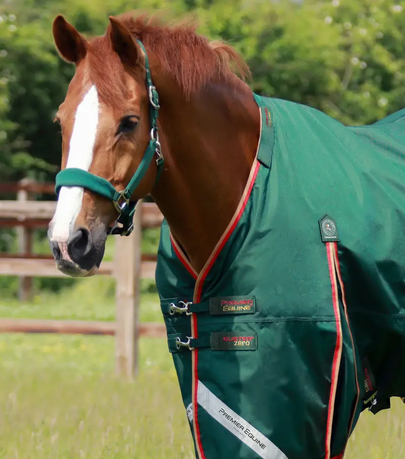 Buster Zero Turnout Rug With Classic Neck Cover Green 2