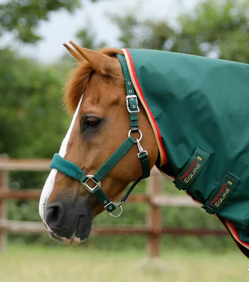 Buster Zero Turnout Rug With Classic Neck Cover Green 3