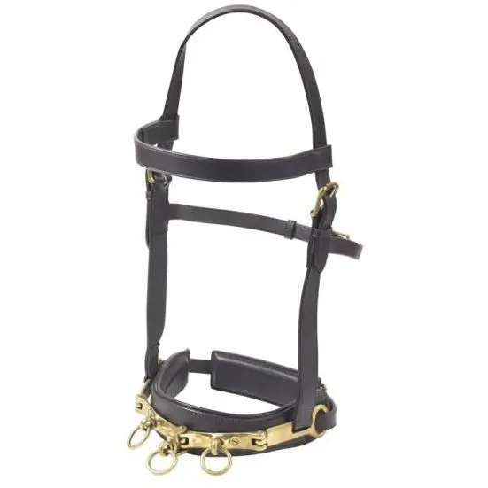Camelot Leather Lunging Cavesson 1
