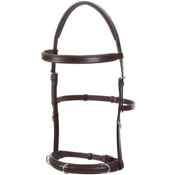 Camelot Padded Lunging Bridle 1
