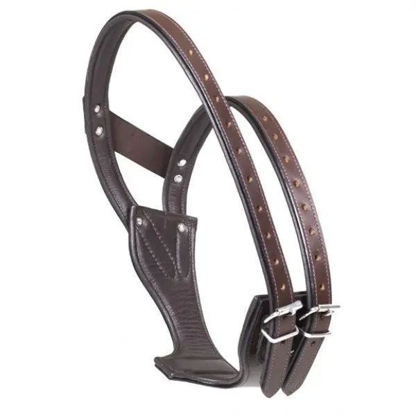 Camelot Padded Wonder Cribbing Collar 1
