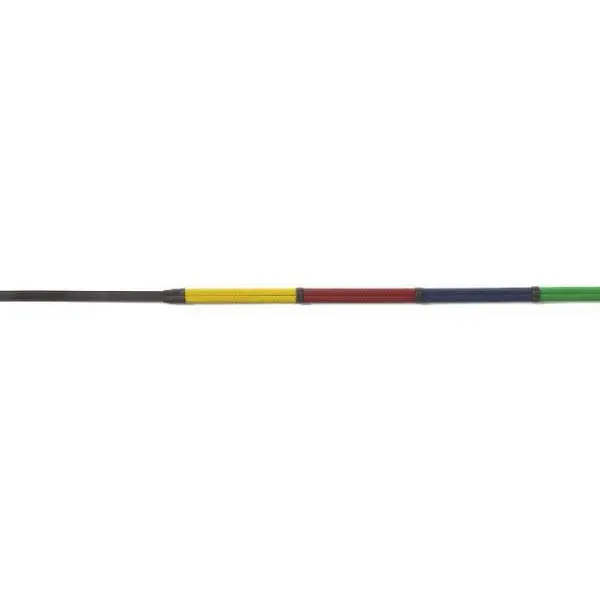 Camelot  Rainbow Reins - Pony 1