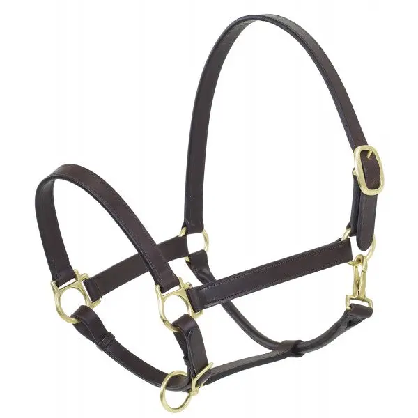 Camelot Weanling Stable Halter 1