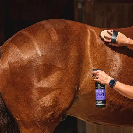 Canter Dreamcoat Spray 2