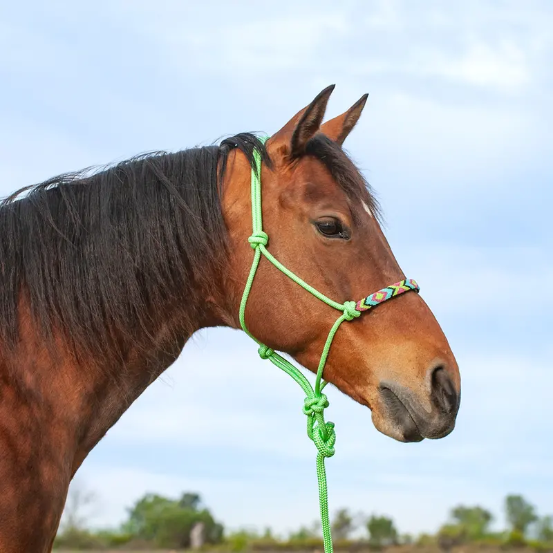 Cashel Beaded Nose Rope Halter-Lime Green 1