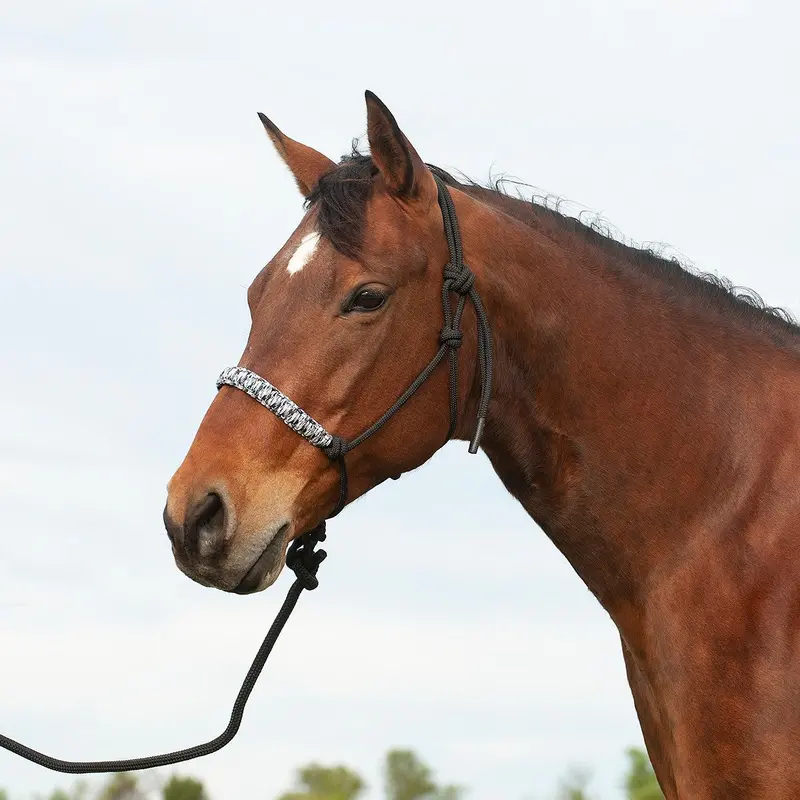 Cashel Braided Nose Rope Halter 2
