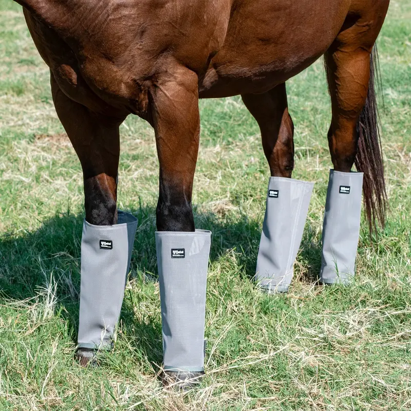 Cashel Crusader Leg Guards 1