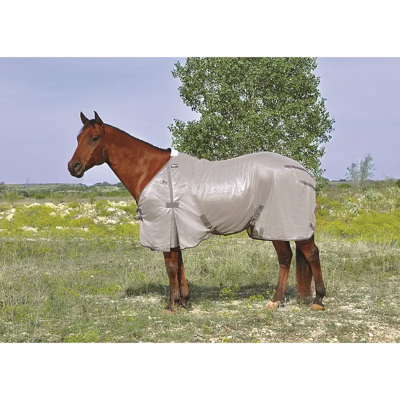 Cashel Econo Fly Sheet 1