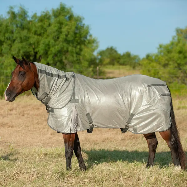 Cashel Econo Fly Sheet With Neck Guard 1
