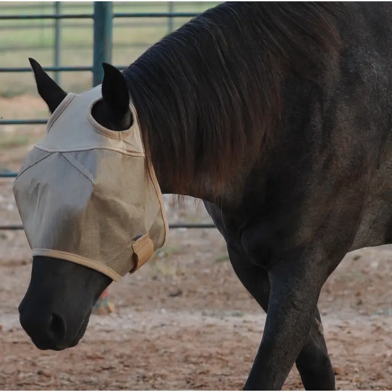 Cashel Econo Standard Fly Mask 1