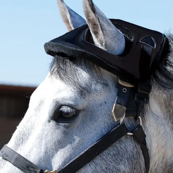Cashel Horse Helmet 1