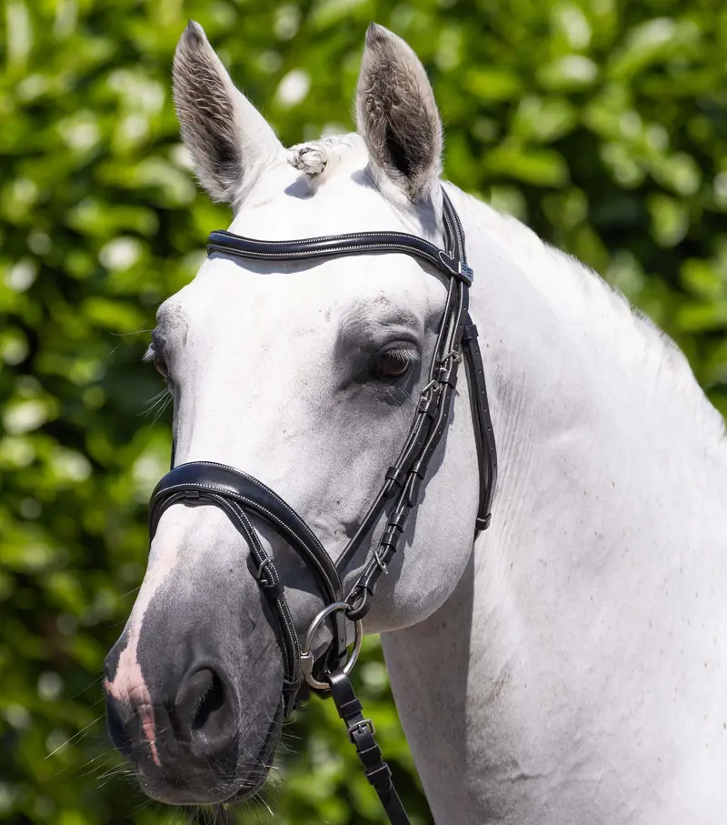 Cassano Snaffle Bridle Black 1