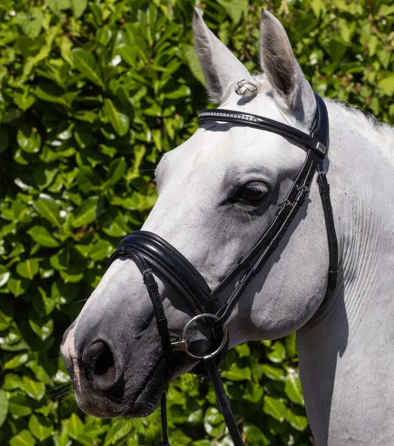 Castello Anatomical Bridle Black 1