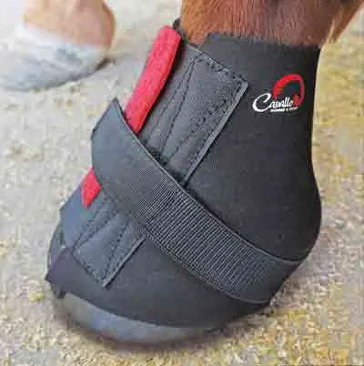 Cavallo Pastern Wraps (Pair) 1