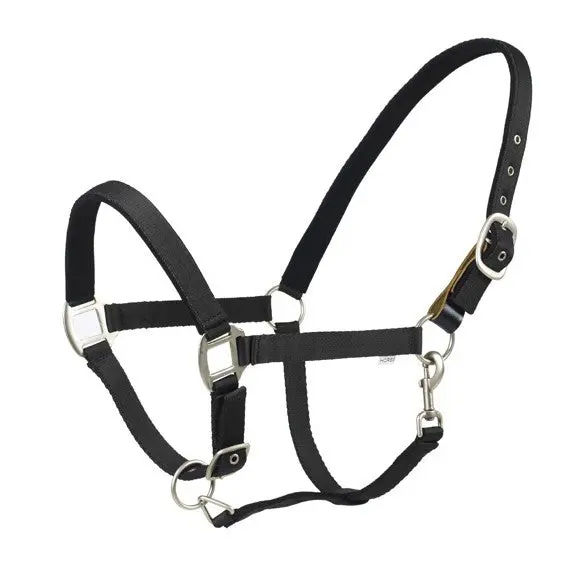 Centaur Cushion Web Breakaway Halter 2
