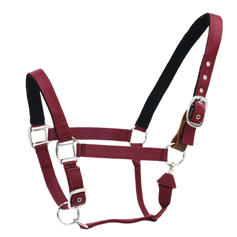 Centaur Cushion Web Breakaway Halter 4