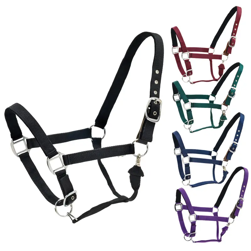 Centaur Cushion Web Breakaway Halter 5
