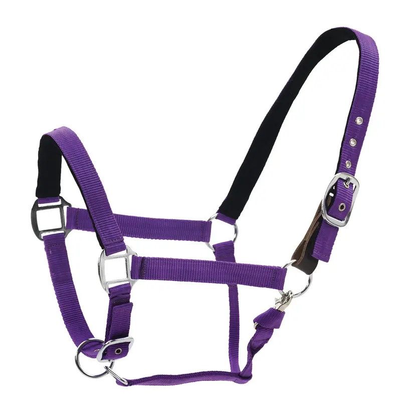 Centaur Cushion Web Breakaway Halter – Safe & Comfortable Fit