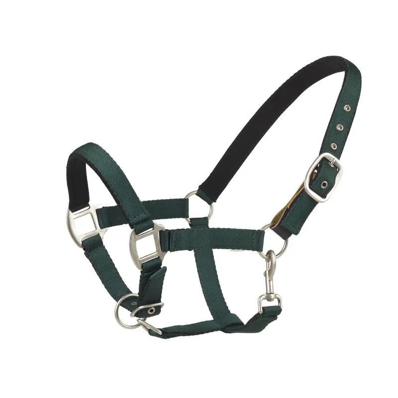 Centaur Cushion Web Breakaway Halter – Safe & Comfortable Fit