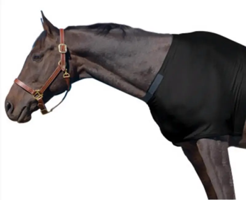 Centaur Stretch Shoulder Guard 2