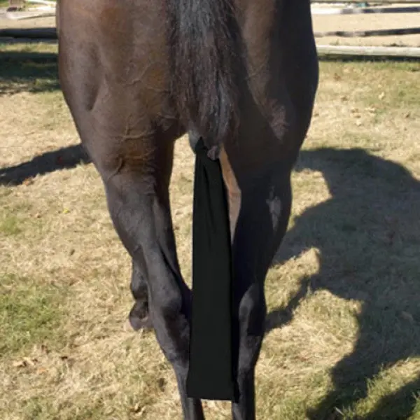 Centaur Stretch Tail Bag 1