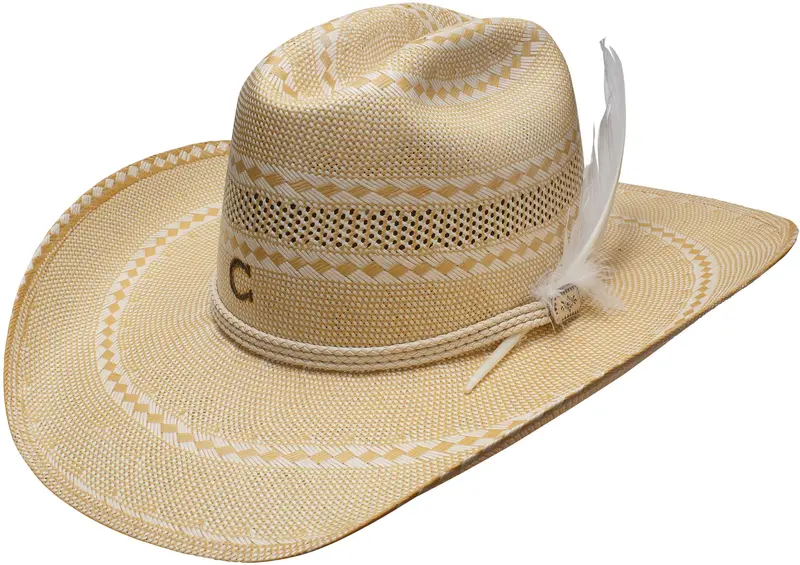 Charlie 1 Horse Hello Sunshine Straw Hat 1