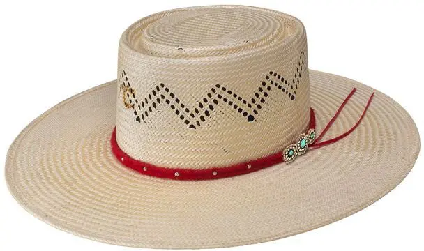 Charlie 1 Horse Painted Borders Straw Hat 1