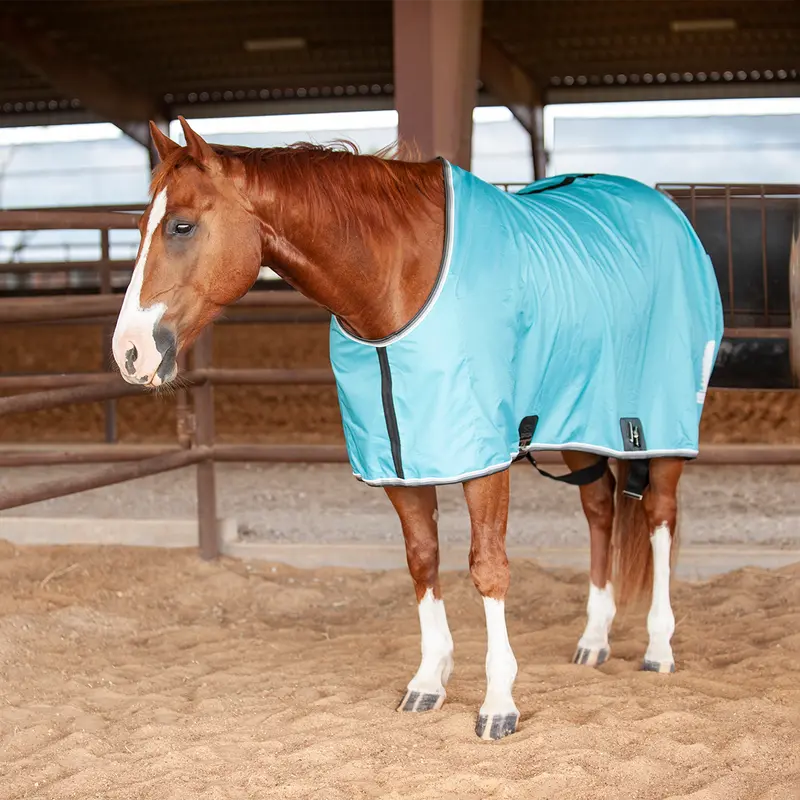 Classic Equine Closed Front Stable Sheet-Turquoise 1