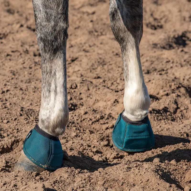 Classic Equine Dyno Turn Bell Boot-Dragonfly Green 1