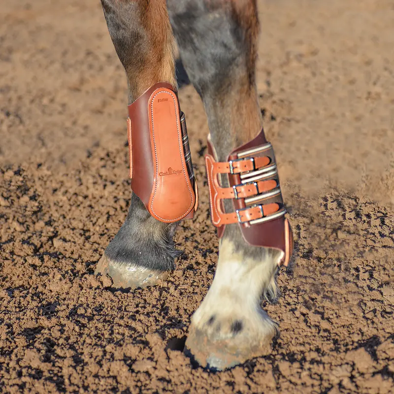Classic Equine Leather Splint Boot 1