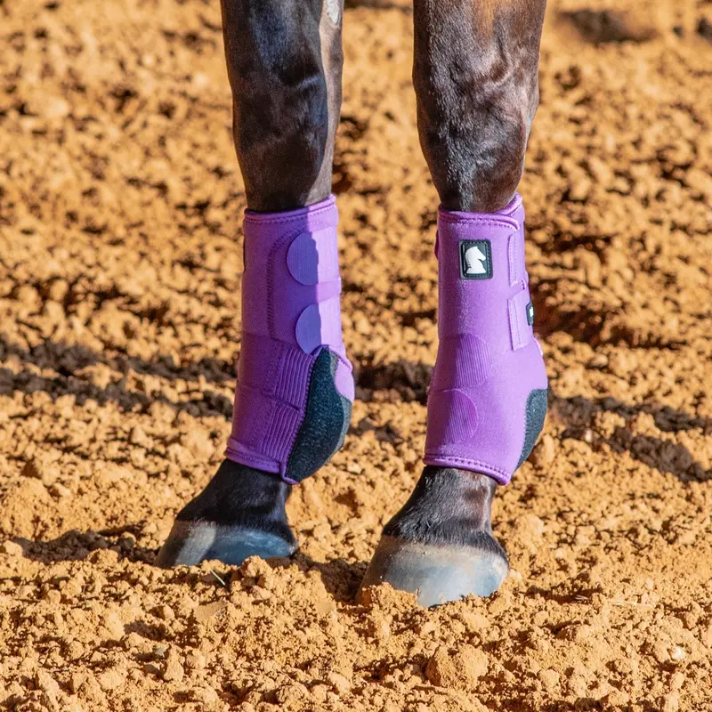 Classic Equine Legacy2 System-Violet Purple Front 1