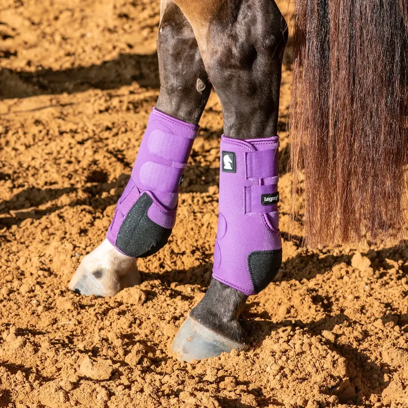 Classic Equine Legacy2 System-Violet Purple Rear 1