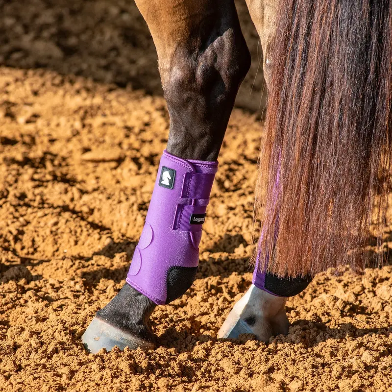 Classic Equine Legacy2 System-Violet Purple Rear 2
