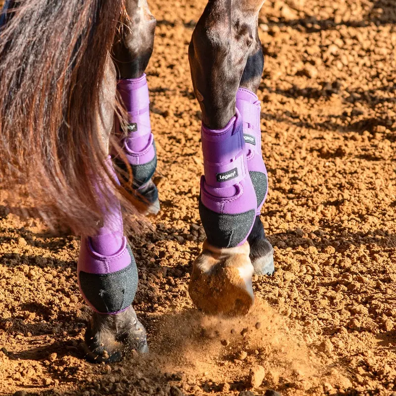 Classic Equine Legacy2 System-Violet Purple Rear 3