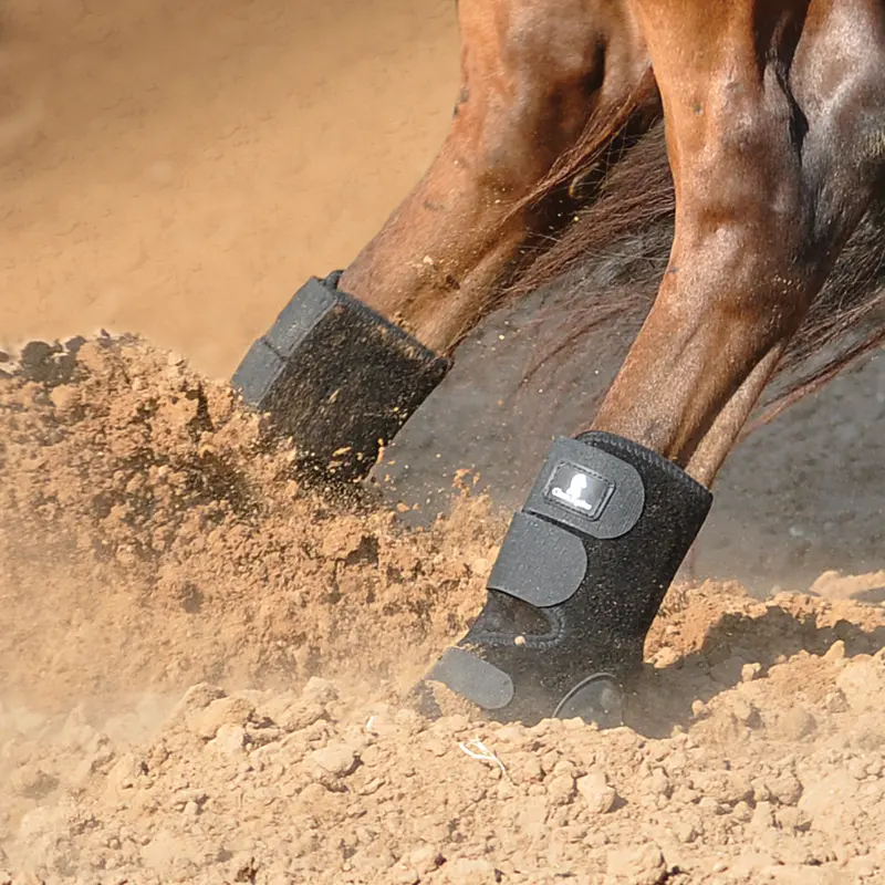 Classic Equine Neoprene Skid Boots 1