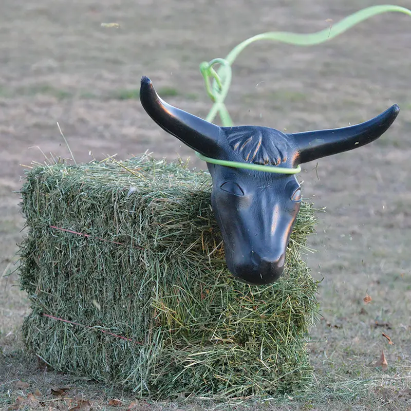 Classic Equine Steer Head 1
