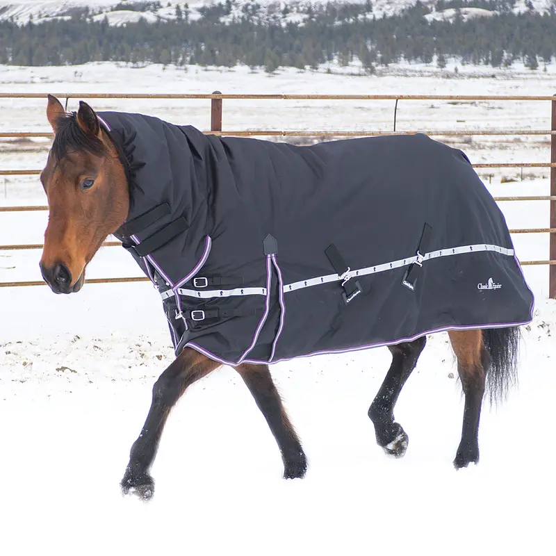 Classic Equine X Trainer 10K Blanket With Hood 1