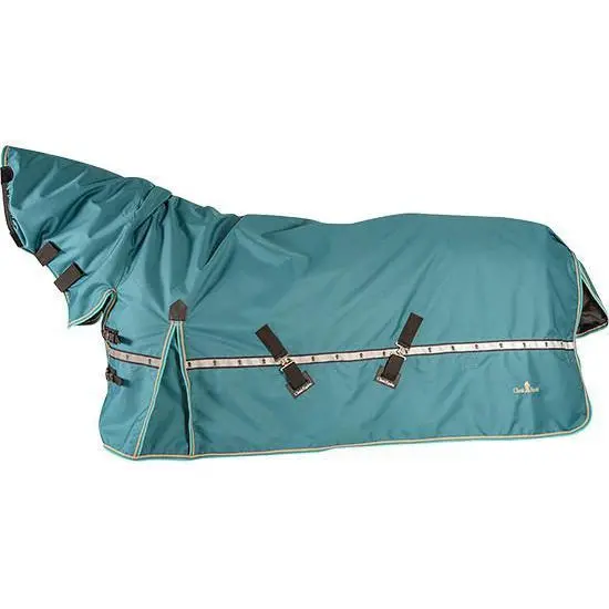Classic Equine X Trainer 5K Blanket With Hood 1