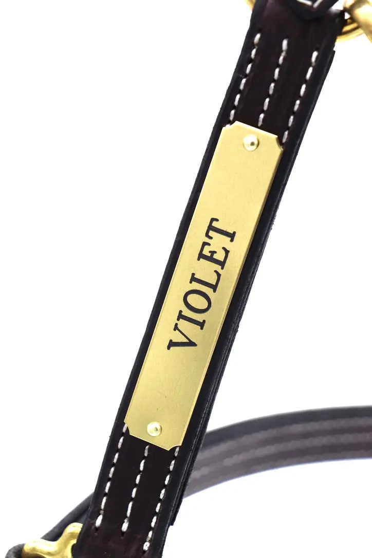 Classic Halter Nameplate 1